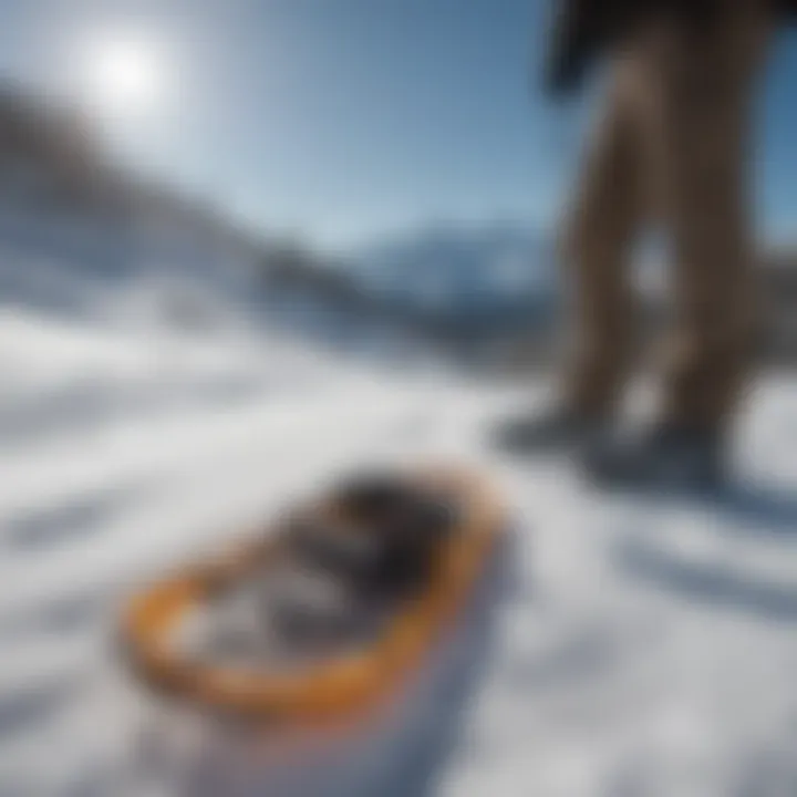 Alptrek snowshoes in a snowy landscape during a hike