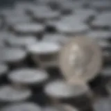 A close-up of silver coins showcasing their shine and detail