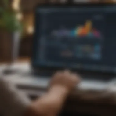 Budget Analysis for Financial Success Person analyzing budget data on a laptop.