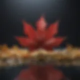 Canadian Maple Leaf symbolizing financial growth