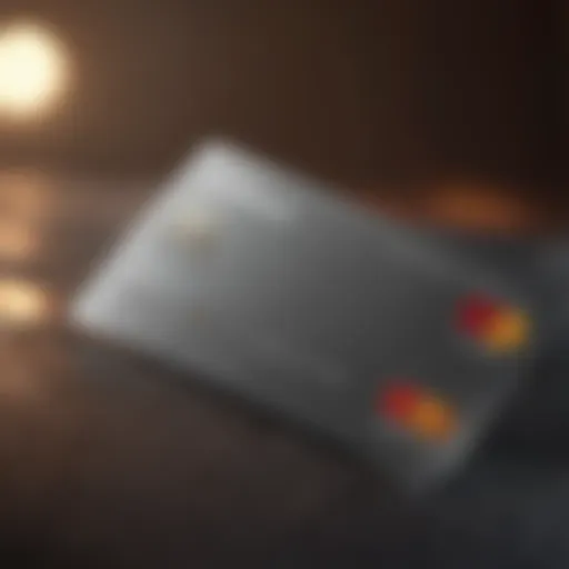 Detailed overview of Reflex Mastercard features