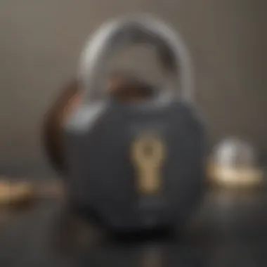 A secure lock symbolizing protection against identity theft.