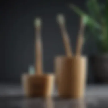 Eco-Friendly Bamboo Toothbrushes