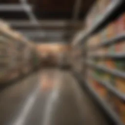 Overview of EBT acceptance at retail stores