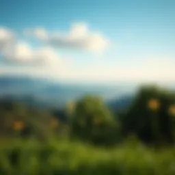 Scenic landscape representing freedom in retirement