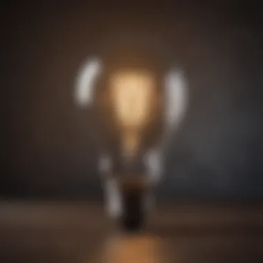 Illustration of a light bulb representing financial optimization