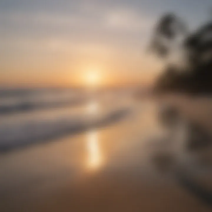 Relaxing Coastal Scene in North Carolina