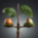 Illustration depicting a scale balancing financial growth between Roth IRA and Acorns