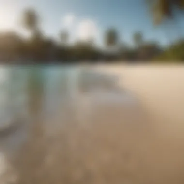Desirable Beach Getaway A serene beach destination with crystal clear waters