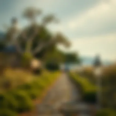 Planning for Retirement A pathway leading towards a secure retirement