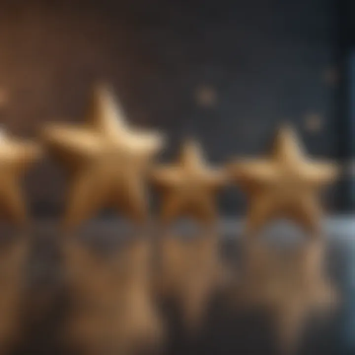 Creative visualization of user feedback stars with Watermark Home Loans branding